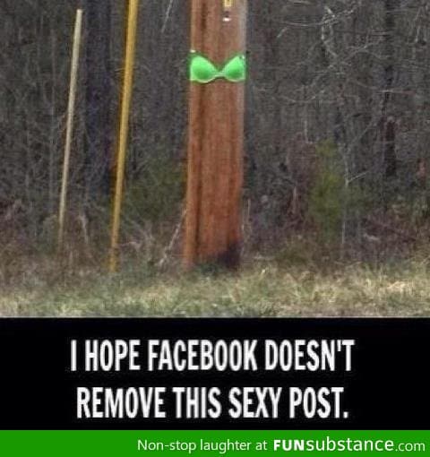 sorry if s*xy re-post