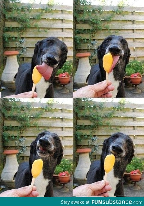 True Happiness