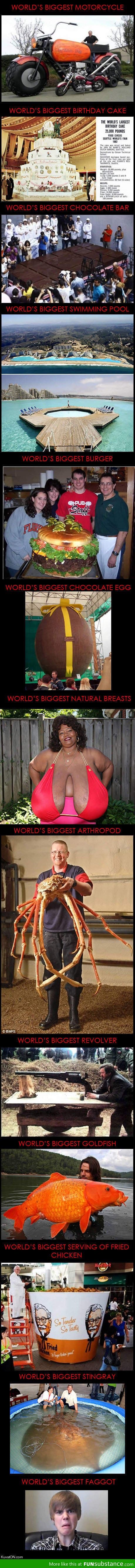 World's biggest