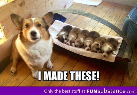 So Freakin Cute