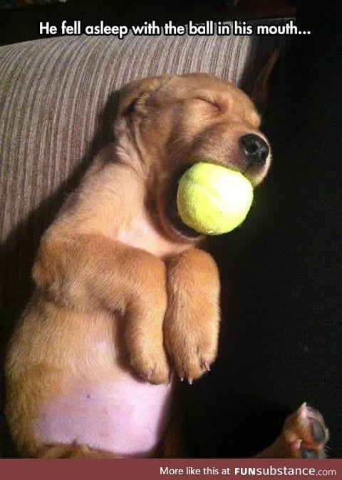 Boy, this is cute