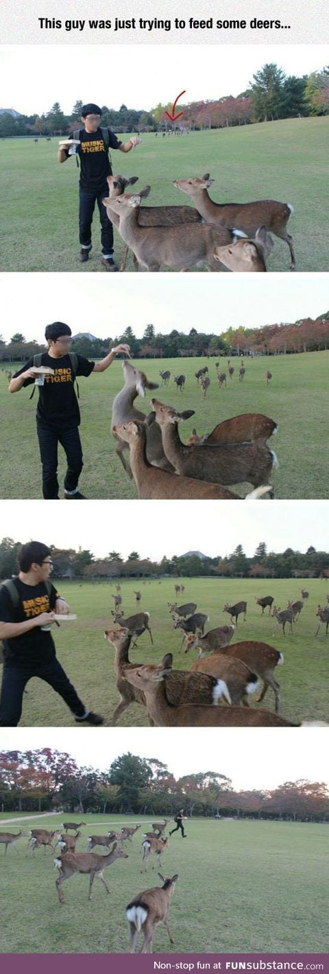 He's Probably A Disney Princess