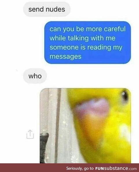 Someone else is reading