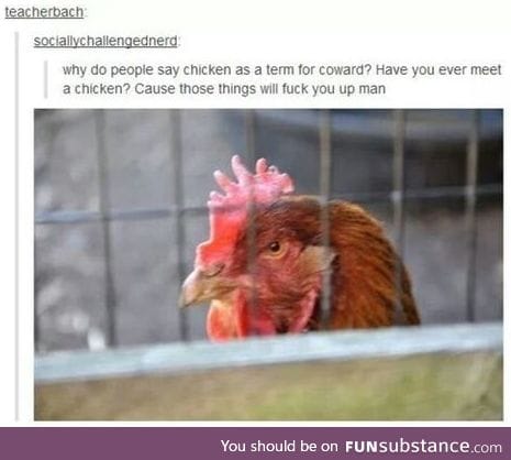 Chickens will mess you up