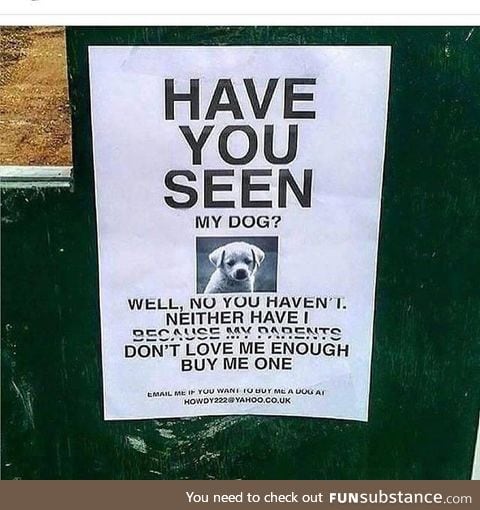 Have you seen his dog?
