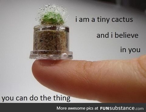 Am smol cactus