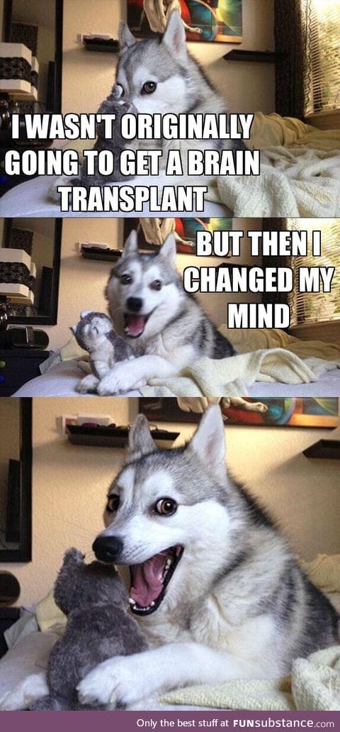 This is a mind changing pun
