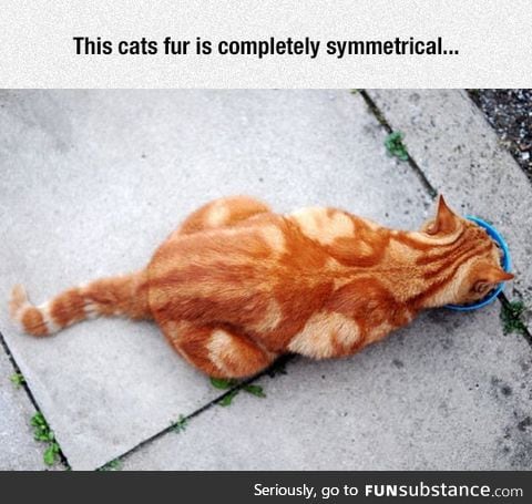 Symmetricat