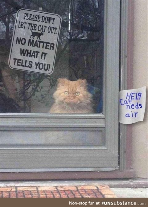 Please Don't Let The Cat Out