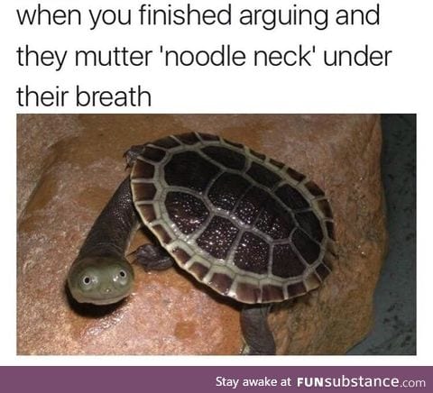 I like these aquatic sneks