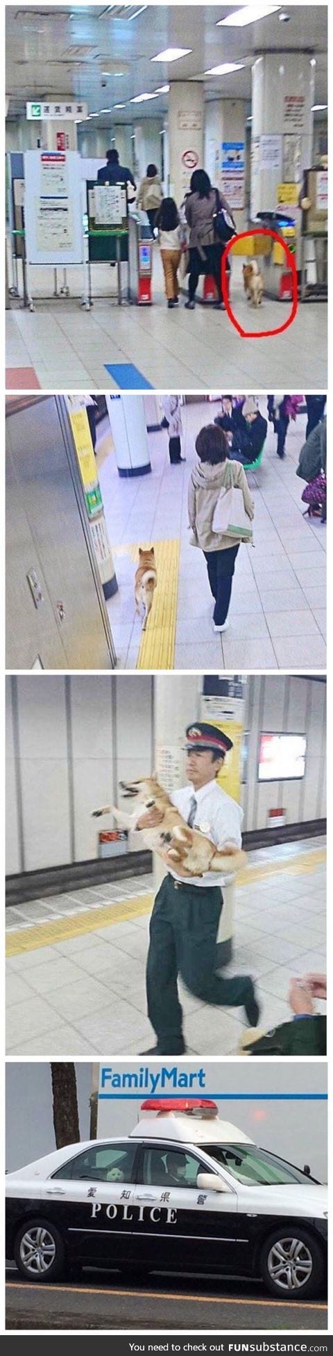 Doge was arrested for passing the gate without ticket