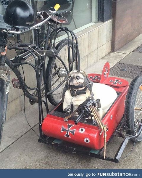 Thus guy often drives his bike around town with his side kick pug