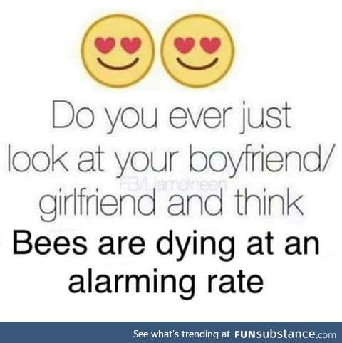 SAVE THE BEES