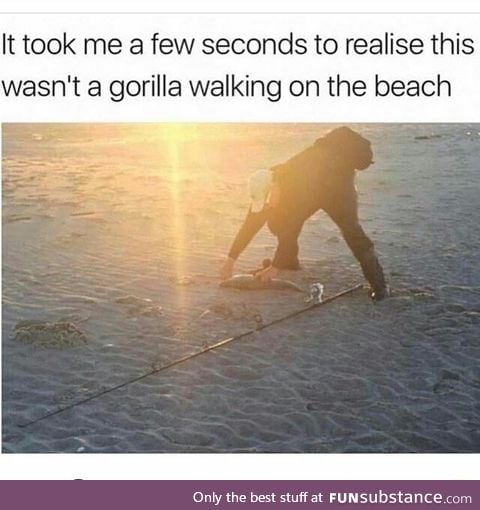 A gorilla at the beach