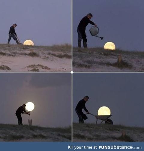 Harvesting the moon