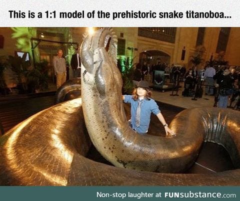 Giant prehistoric snake