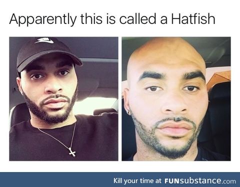 What is a hatfish