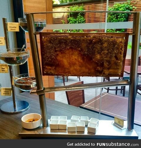 This hotel has fresh honey in their breakfast buffet