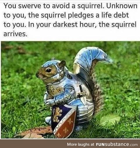 The reward of not running over an animal