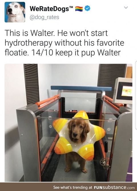 Walter is adorable