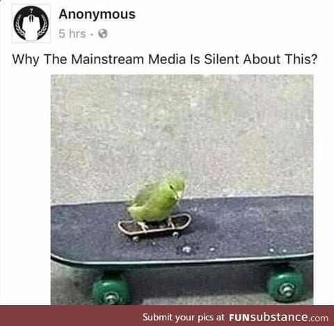 Is it a cover up?