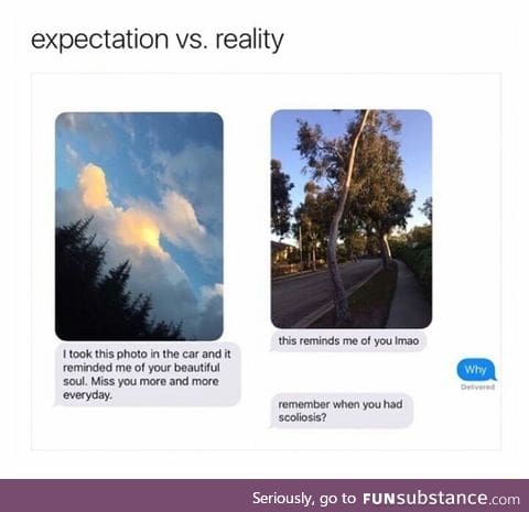 Expectation vs reality