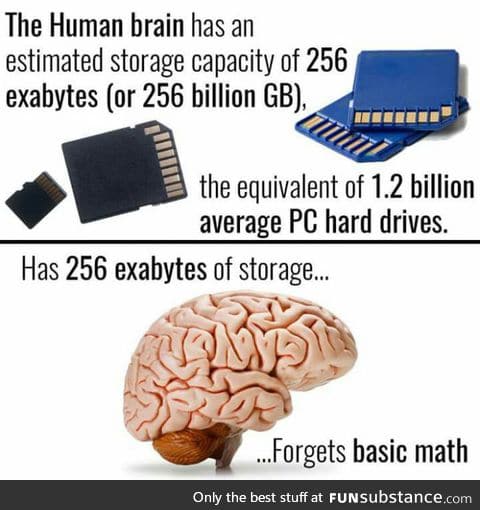 I think my brain is broken
