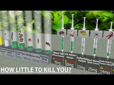 Comparison of the most toxic things known to mankind
