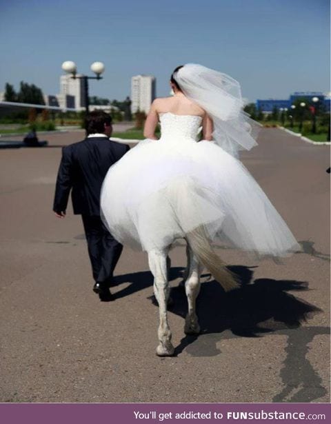 What a shame the poor groom's bride is a horse