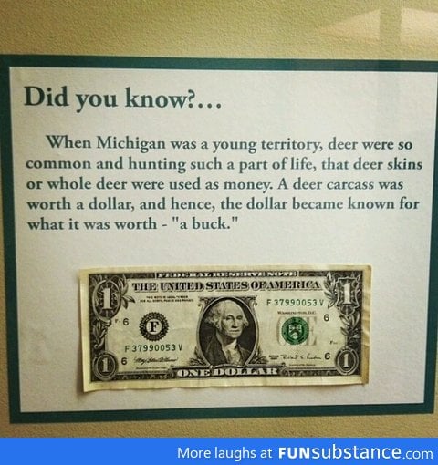 One buck