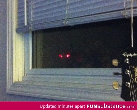 The traffic light outside is the source of my nightmares