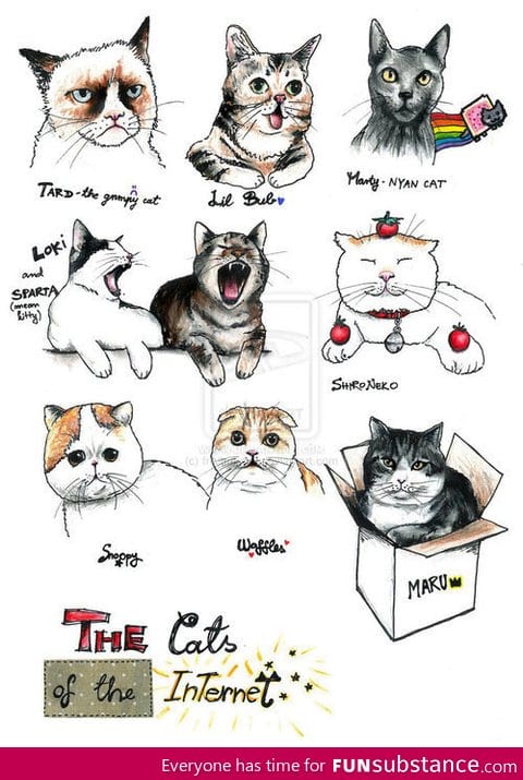 Internet Cats