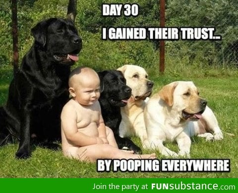 Day 30