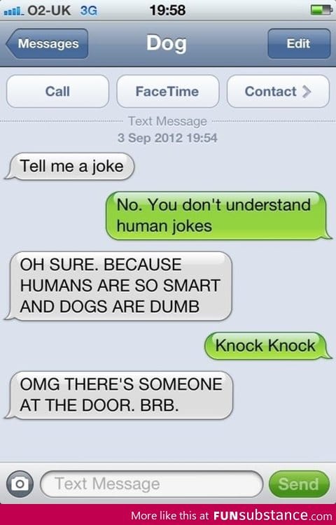 Text from dog