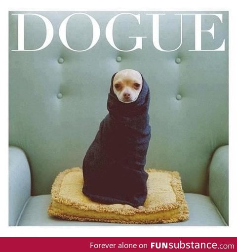 Dogue