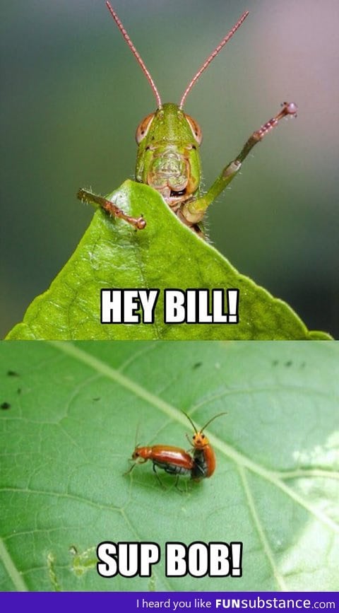 A normal day in nature