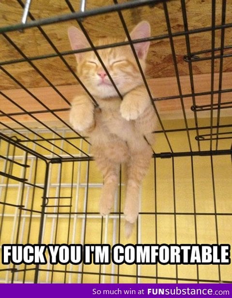 I'll sleep wherever I want