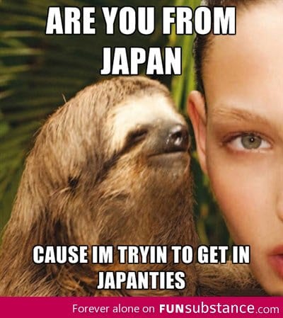 Seductive sloth knows how to get the ladies