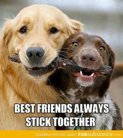 The cutest pun I've ever seen