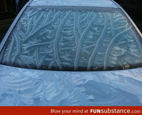 Winter fog made a unique ice pattern on a car