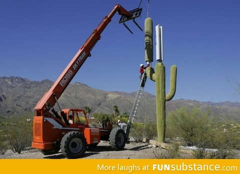 Hiding a Cellphone Tower in Arizona