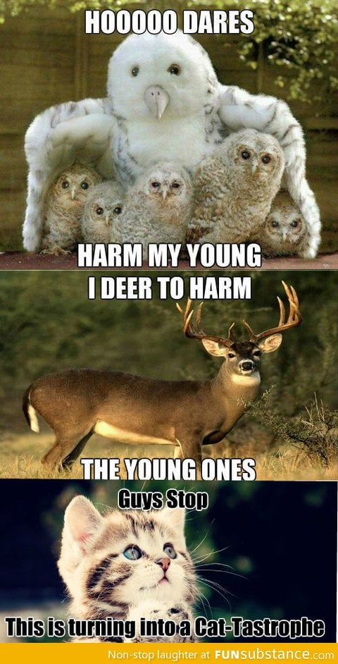 Hooooo Dares