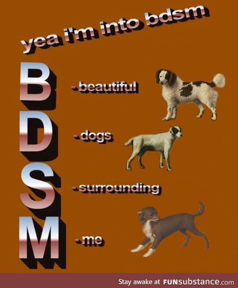 We all love dogs