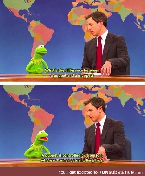 Kermit is a real frog stay woke