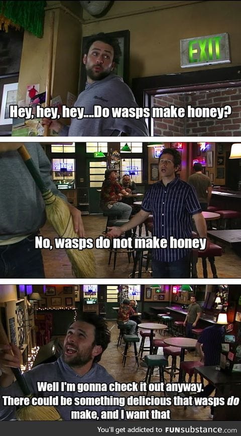 Do wasps make honey?