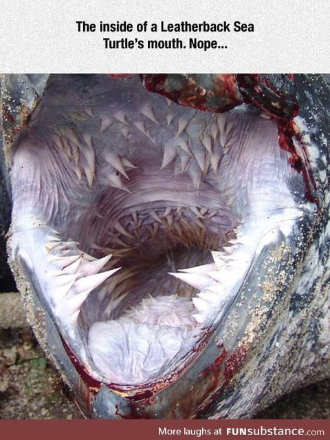 Looks like something from star wars