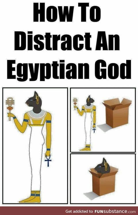 Kitty bastet