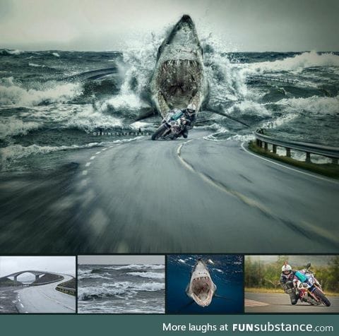 Composition of 4 photographs into one