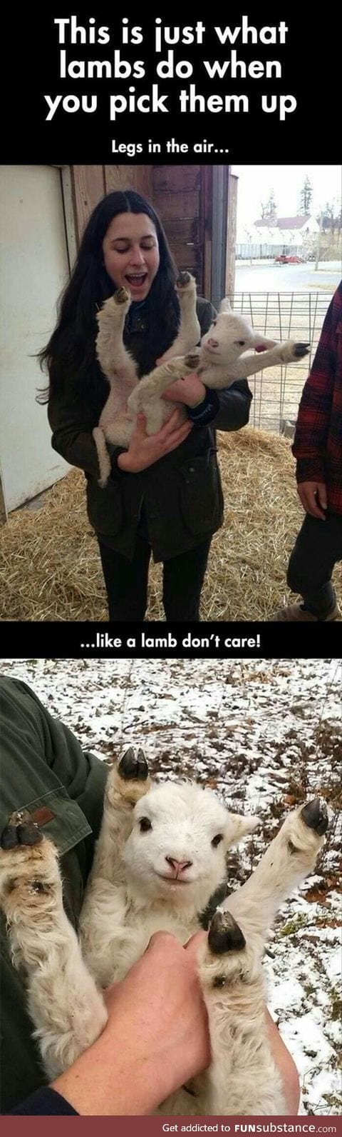 Put me down human