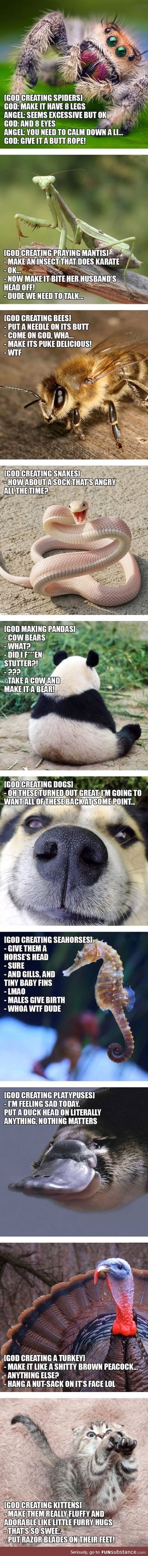 When god created these animals